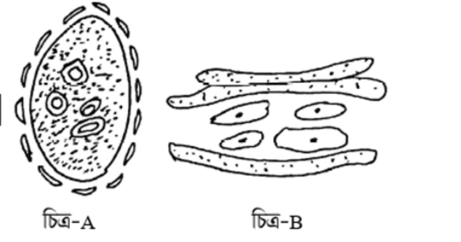 img_37756c7c7d16.png
