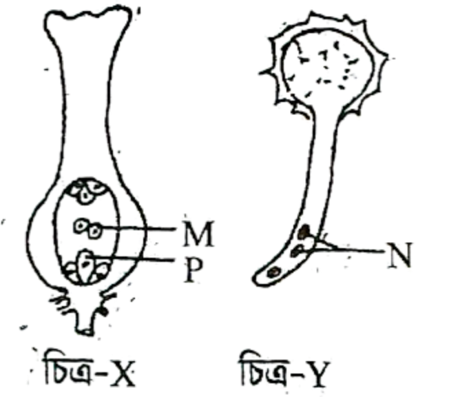 img_3bbd7dbf1971.png