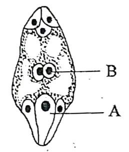 img_3cb53a5f81e2.png
