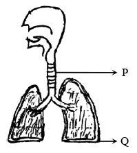 img_994f4a498a96.png