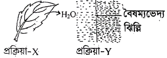 img_9db55b1386c1.png