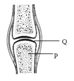 img_c369140dacbe.png