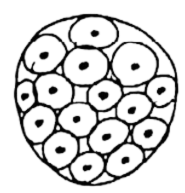 img_c64b485229ea.png